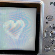 at_174446128495221.png
