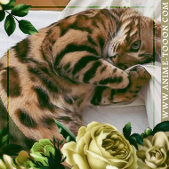 at_174625806002191.png