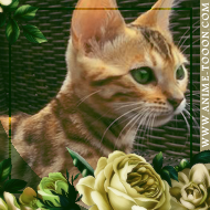 at_17462581008213.png