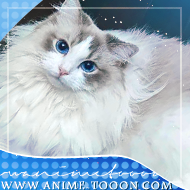 at_174625924256222.png