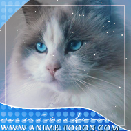 at_174625924262835.png
