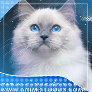 at_174625924268058.png