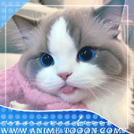 at_174625928481771.png