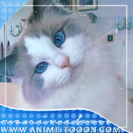 at_174625928485293.png