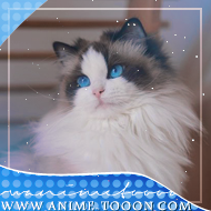 at_174625928488145.png