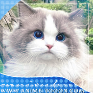 at_174625928489656.png