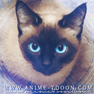 at_174625946026784.png