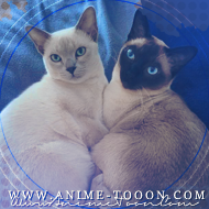 at_174625946033148.png