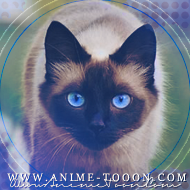 at_174625950326051.png