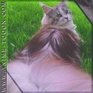 at_17462598745047.png