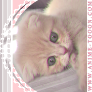 at_174626033832081.png