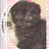 at_17462603383432.png