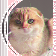 at_174626033835963.png
