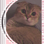 at_174626033839115.png