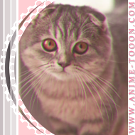 at_174626033840716.png
