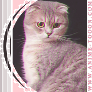 at_17462603384378.png