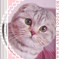 at_174626033845239.png