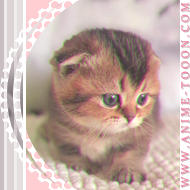 at_174626039361652.png