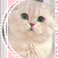 at_174626039367436.png
