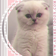 at_17462603936897.png