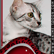 at_174626083828961.png