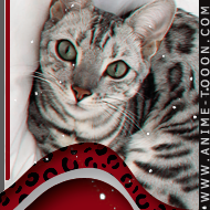 at_174626083838245.png