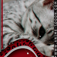 at_17462608384298.png