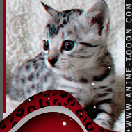 at_1746260838475610.png