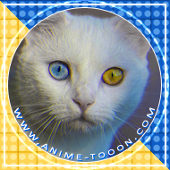 at_174626124657297.png