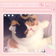 at_174626143792395.png
