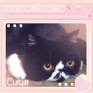 at_17462614379577.png