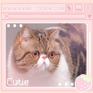 at_174626143797298.png
