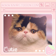 at_174626147486971.png