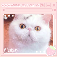 at_17462614748922.png