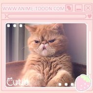 at_174626147501517.png