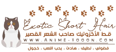 at_174626147503118.png