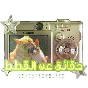 at_174893388028131.png