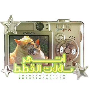 at_174893506991.png