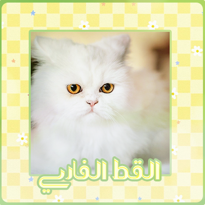 at_174893598375671.png