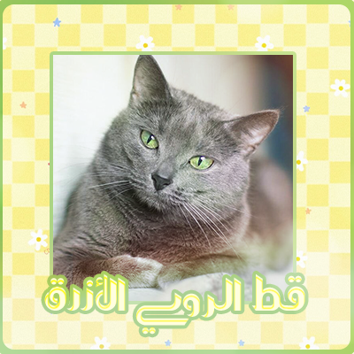 at_174893693004241.png