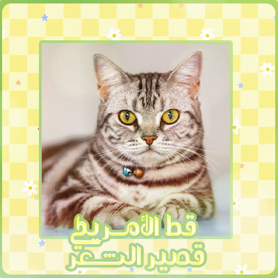 at_174893713275551.png