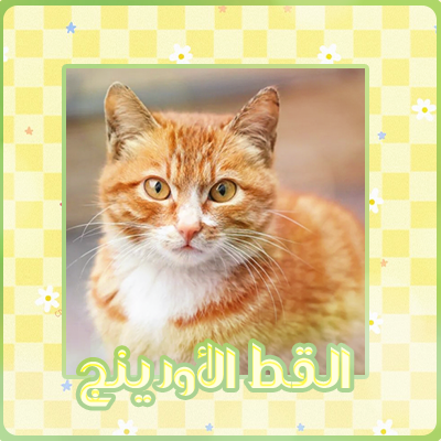 at_174893770949911.png