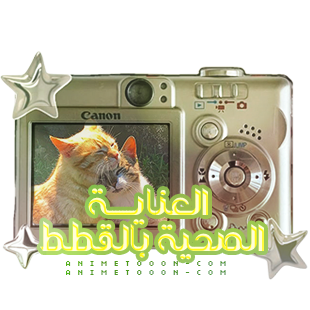 at_174893792443121.png