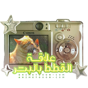 at_174893802435841.png