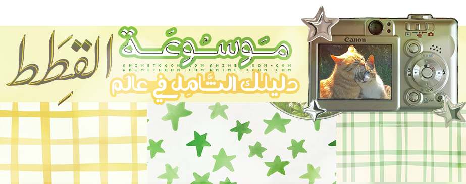 at_174893905141241.png