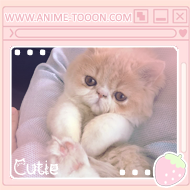 at_174929554036561.png