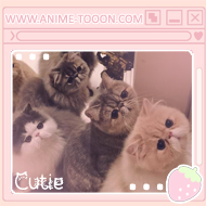 at_174929554038942.png