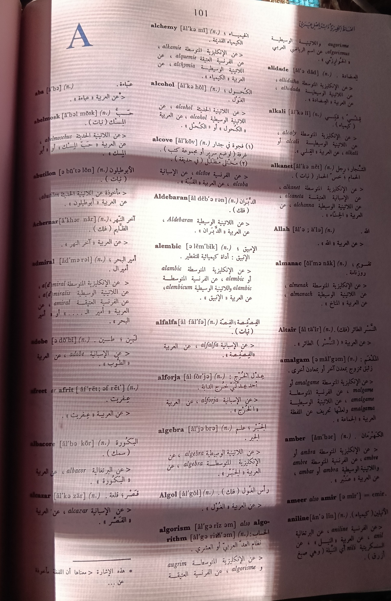 at_175050766362921.jpg