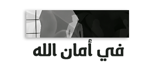 at_17507856526136.png