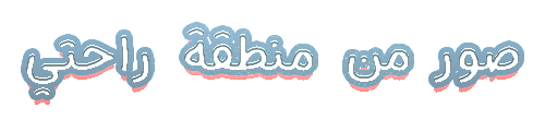 at_175151999981971.png